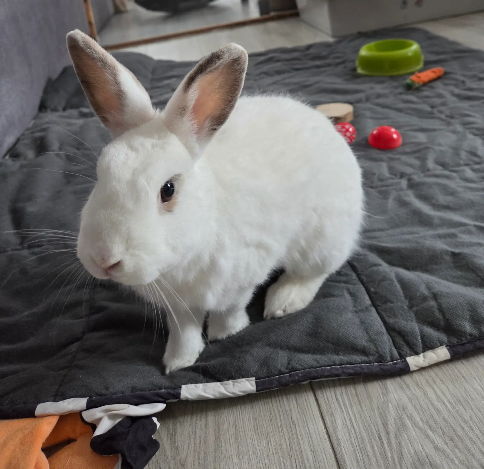 Fotografie cu Kiki