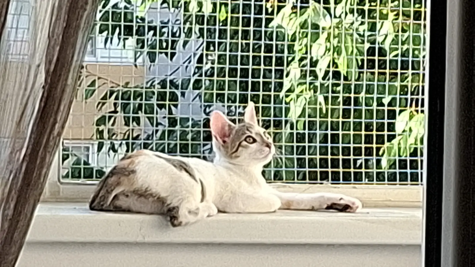 Fotografie cu Mimi