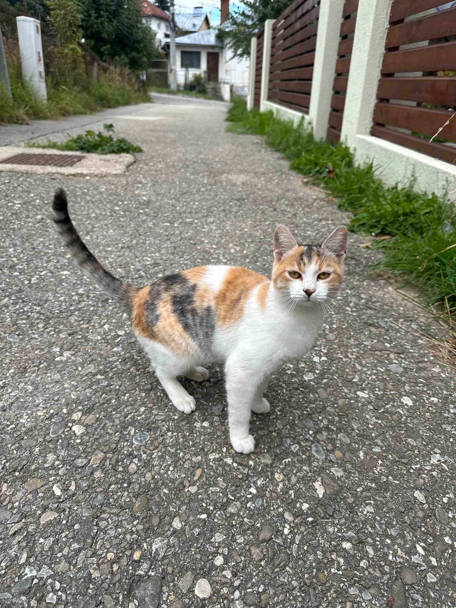 Fotografie cu Xena